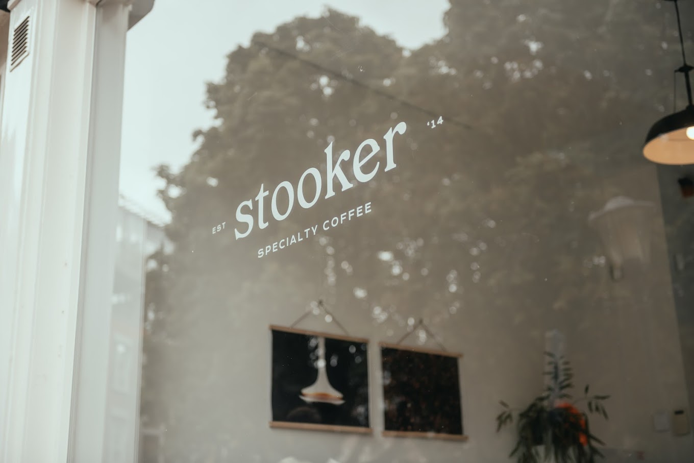 Stooker profile image